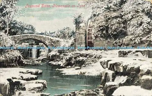 R618679 Jesmond Dene Newcastle on Tyne Valentines Serie 1905