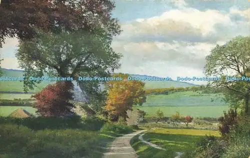 R618684 Beauty Spots of England Rural Scene I W Photochromie Series 180 No 3140