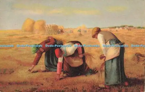 R623136 Gleaners Hirse Masterpieces Serie Nr. 106 Misch und Lager