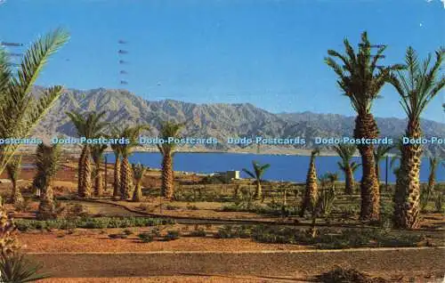 R616234 Eilat Blick auf die Bucht mit Bergen von Edom Palphot 1960