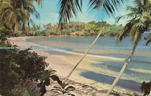 R616279 Balandra West Badestrand Trinidad Westindien Y De Lima Lusterchrome