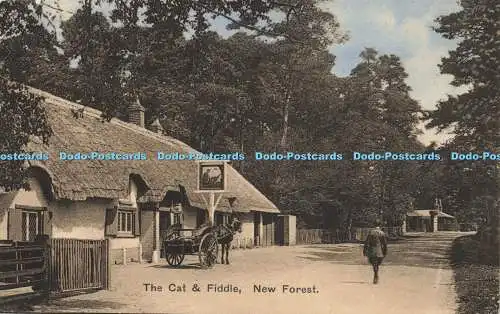 R623191 Cat and Fiddle New Forest H und S B Nr 1217 1913