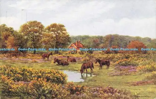 R623255 New Forest Ponys Nr Lyndhurst A R Quinton Salmon 1938