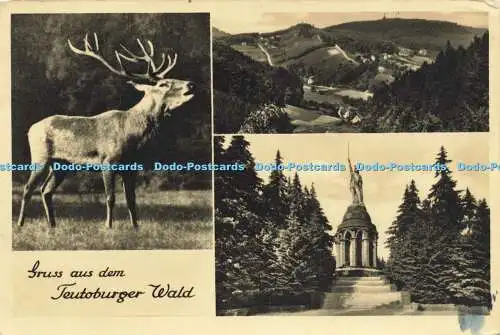 R623287 Gruss aus dem Teutoburger Wald Schoning 1948 Multi View