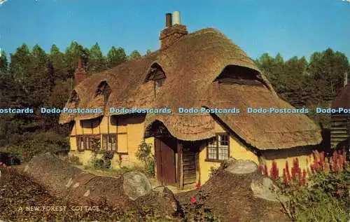 R616374 New Forest Cottage Salmon 1966 2240c