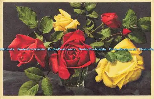 R623408 Rosen Nr. 434 Blumen Alleinimporteur Postkarte und verschiedene Geschäfte Gyger an