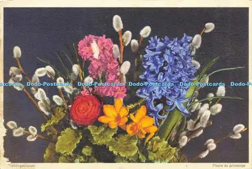 R623410 Fruhlingsblumen Fleurs du printemps Frühlingsblumen Nr 645 Stehli 1956