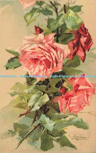 R616524 Blumen Rosen S Hildesheimer Serie Nr 5421