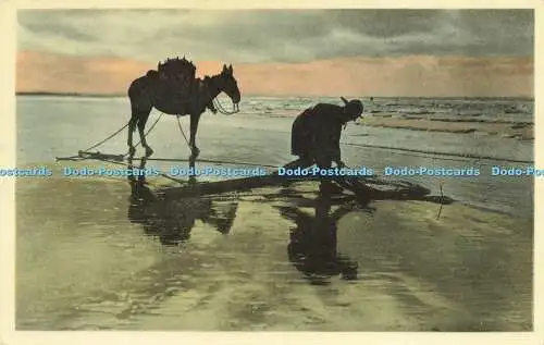 R621061 Wenduine Pecheur de crevettes Garnalenvisser Artcolor Bruxelles