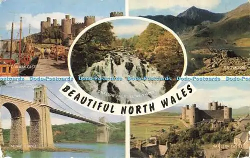 R623521 Beautiful North Wales Salmon 1965 Multi View