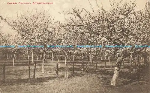 R621108 Cherry Orchard Sittingbourne T Ash 1914