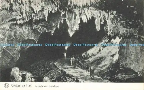 R616677 Nels Grottes de Han La Salle des Mamelons S A des Grottes de Han sur Les