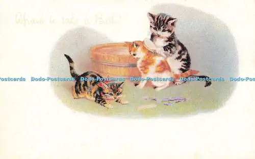 R616796 Afraid to take a Bath Kittens 1990 B Shackman No 8193 Printed in Hong Ko