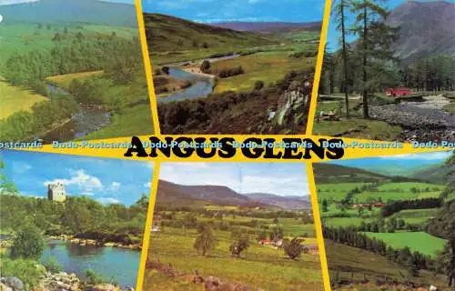 R616822 Angus Glens Colourmaster International Precision Multi View