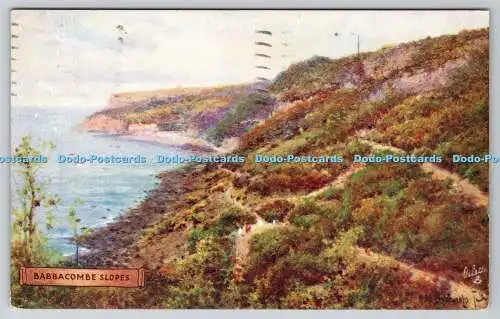 R740290 Babbacombe Slopes Tuck Oilette No 3017 A De Breanski PM Torquay Devon 19