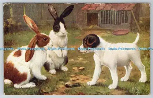 R740315 Among the Bunnies Tuck Oilette No 3040 B Cobbe 1935