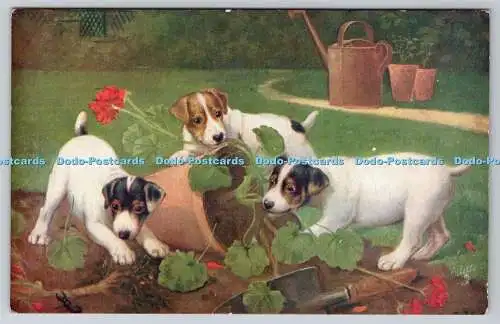 R740316 Wenn Hunde Welpen sind Stecken Oilette Serie II Nr. 3053