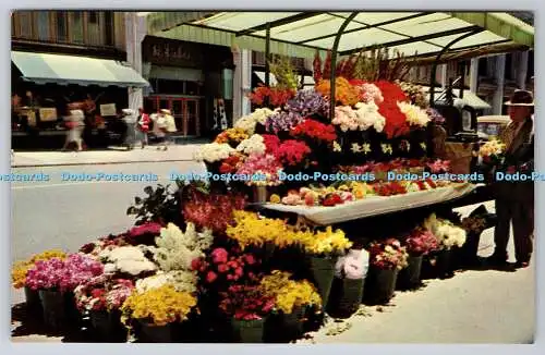 R740359 California San Francisco Sidewalk Flower Stands E F Clements Lithographie