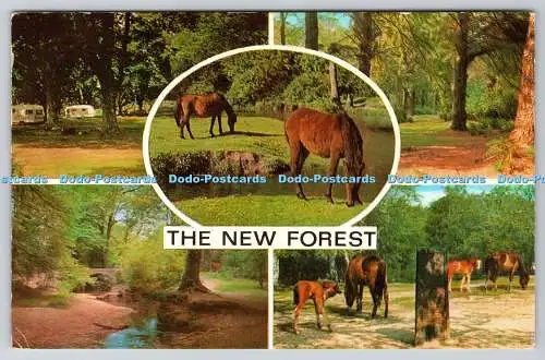 R740568 The New Forest J Salmon Sevenoaks Multi View