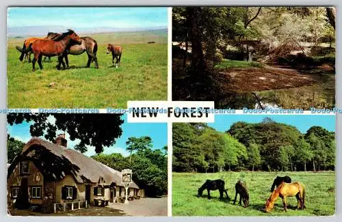 R740624 New Forest Ponys Cat and Fiddle Inn Photo Precision Colourmaster Intern