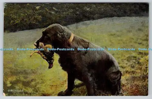 R739049 A Retriever Tuck Rapholette Sporting Dogs Series 8052