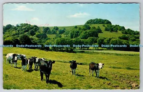 R740683 Chanctonbury Ring Sussex D Constance Littlehampton