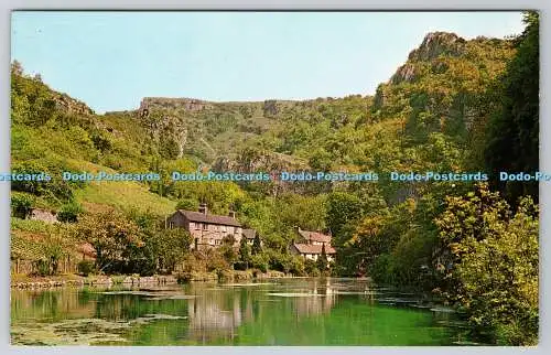 R739061 Löwenfelsen und Eingang zur Cheddar-Schlucht Plastichrome von Farbbild Nr.