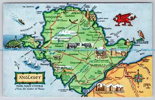 R740736 Anglesey Map J Salmon Sevenoaks Eng 1964