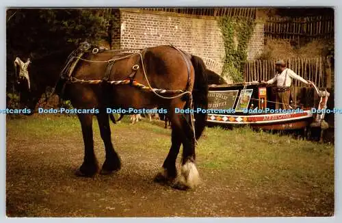 R740757 Working Canal Horse B M Whitehouse West Midlands D Smith