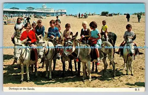 R740800 Donkeys on the Sands Bamforth Holmfirth Yorkshire B 5 Beach Serie 1972