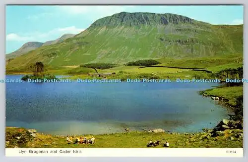 R740827 Llyn Grogenan and Cader Idris E T W Dennis Scarborough