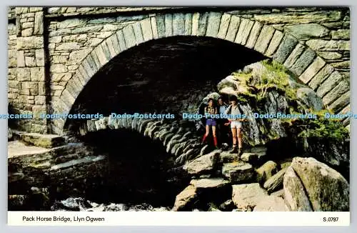 R740829 Llyn Ogwen Pack Horse Bridge E T W Dennis Scarborough