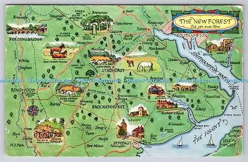 R739195 The New Forest Map J Salmon Sevenoaks Eng 1962