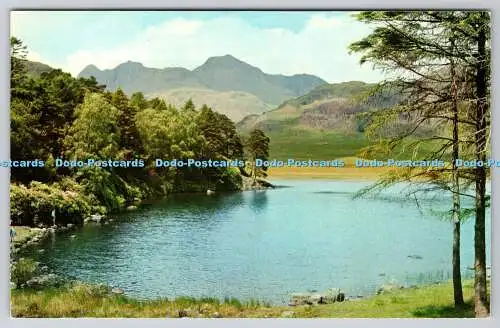 R740833 Blea Tarn and Langdale Pikes Gomis Helvellyn House Keswick