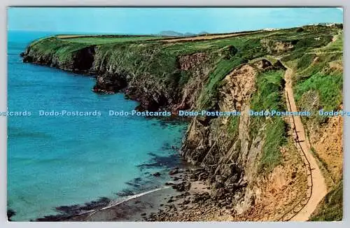 R740890 Pembs Caerfai Bay St David N P O Belfast Dexter