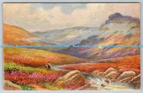 R741606 Dartmoor Summer Mist Princetown Raphael Tuck and Sons Oilette Postkarte N