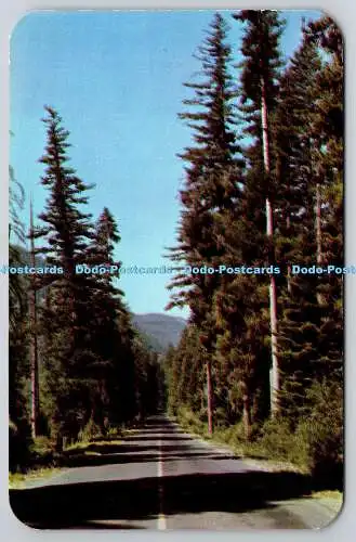 R739523 Naches Pass Highway J Boyd Ellis Arlington Wash Dextone Kodachrome Ansco