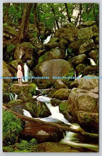 R739711 Dartmoor Becky Falls Printed in Great Britain