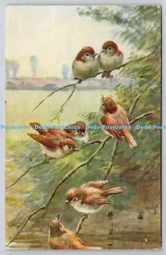 R741895 The Nightingale Sweet Songsters Raphael Tuck and Sons Oilette Postkarte N