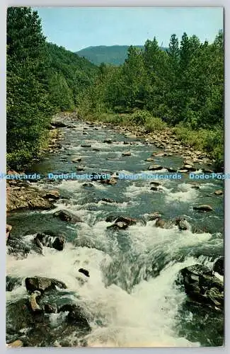 R739809 Mountain Stream Great Smoky Mountains Natural Color Card W M Cline