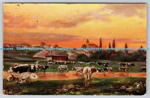 R742096 Hungarian Villages Raphael Tuck and Sons Oilette Wide Wide World Series