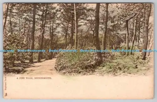 R742232 Bournemouth A Pine Walk Raphael Tuck and Sons