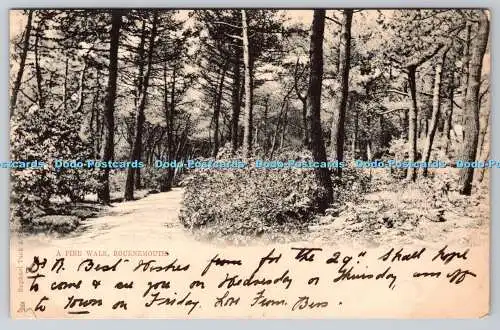 R742250 Bournemouth A Pinne Walk Raphael Tuck and Sons 1907