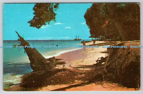 R740116 Barbados Westindien Strandszene St James Küste Wayfarer Buchhandlung Letch