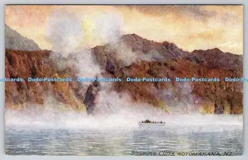 R742369 N Z Rotomahana Steaming Cliffs Raphael Tuck and Sons Oilette Wide Wide W