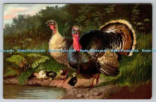 R742476 The Poultry Farm Truthähne am Fluss Raphael Tuck and Sons Art Series N