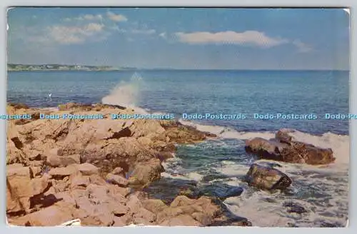 R741053 Gloucester Massachusetts on Cape Ann Bass Rocks Rockport Postkarte A Mik