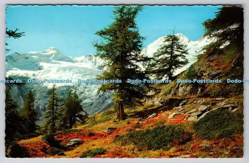 R741057 Saas Fee Allalinhorn und Alphubel Fotoglob Wehrli