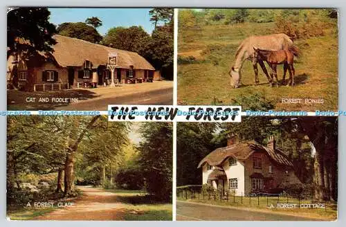 R741115 The New Forest Forest Ponies J Salmon Sevenoaks Multi View