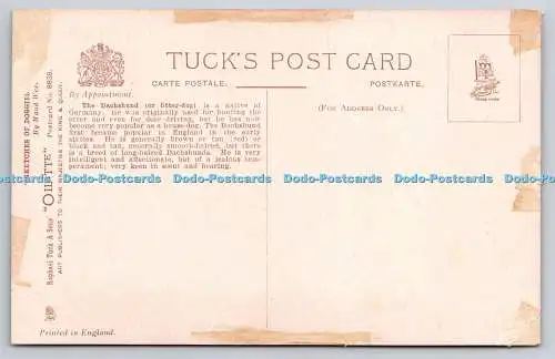 R742785 Dackel Raphael Tuck und Söhne Oilette Postkarte Nr 8638 Maud West Watso